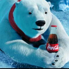 Colalovingpolarbears