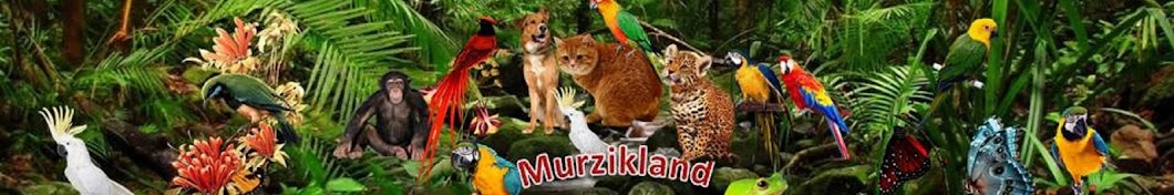 Murzikland YouTube kanalı avatarı