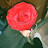 @RemasSameh-p7p