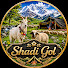 gX48gsMlrG4-channel-avatar-shadi gol