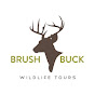 BrushBuck Wildlife Tours logo