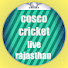 1_4H5ODdsCE-channel-avatar-Cosco Cricket Live Rajasthan 