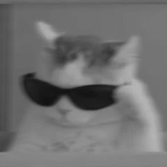 ひまわり_うずまき_ちゃん