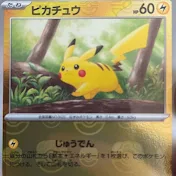 ポケカ開封にハマった家族