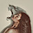 @HdbHhf-f6g