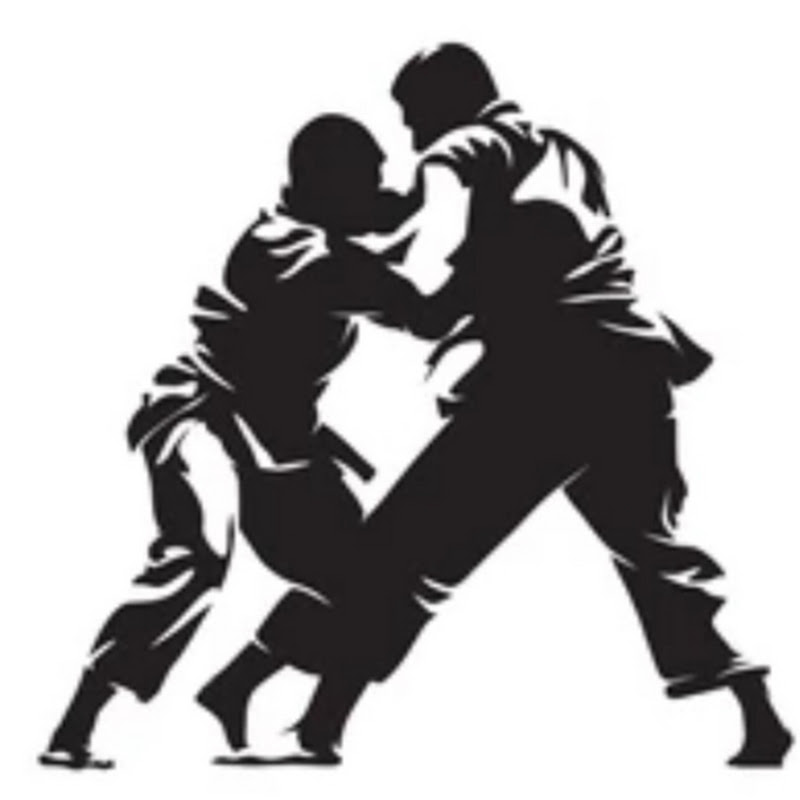 🥋judo fight 🥋 avatar