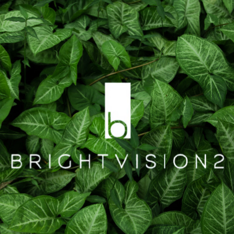 Brightvision2