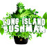 rBSq13Uskcw-channel-avatar-Longislandbushman