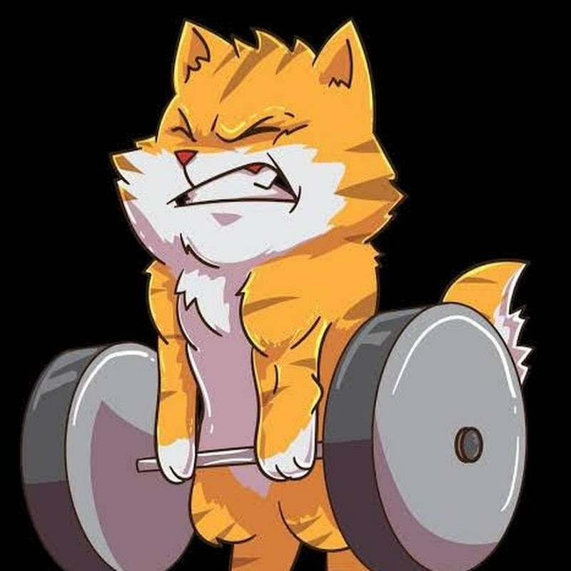 NOOB Gym Motivation