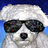 bljQsRo3Px0-channel-avatar-Daily Streamer