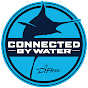 D. Friel - Connected by Water logo