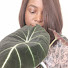 zFIOfbpV5Dc-channel-avatar-The Spirited Planter