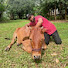 YQKUv0eT4sU-channel-avatar-Dewan Agro Bangladesh 