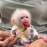 4pjOsRMAbxI-channel-avatar-Abi Monkey