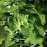 GTJpjesxlII-channel-avatar-JustInside