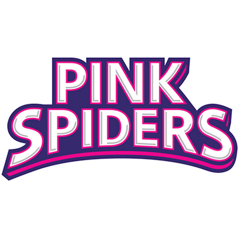 흥국생명배구단 PINKSPIDERS