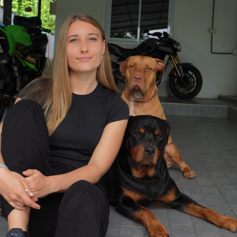 Life with Alice, Rylo & Bryson