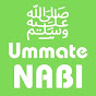 Ummat-e-Nabi Official logo