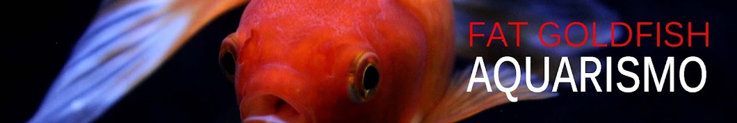Fat Goldfish رمز قناة اليوتيوب