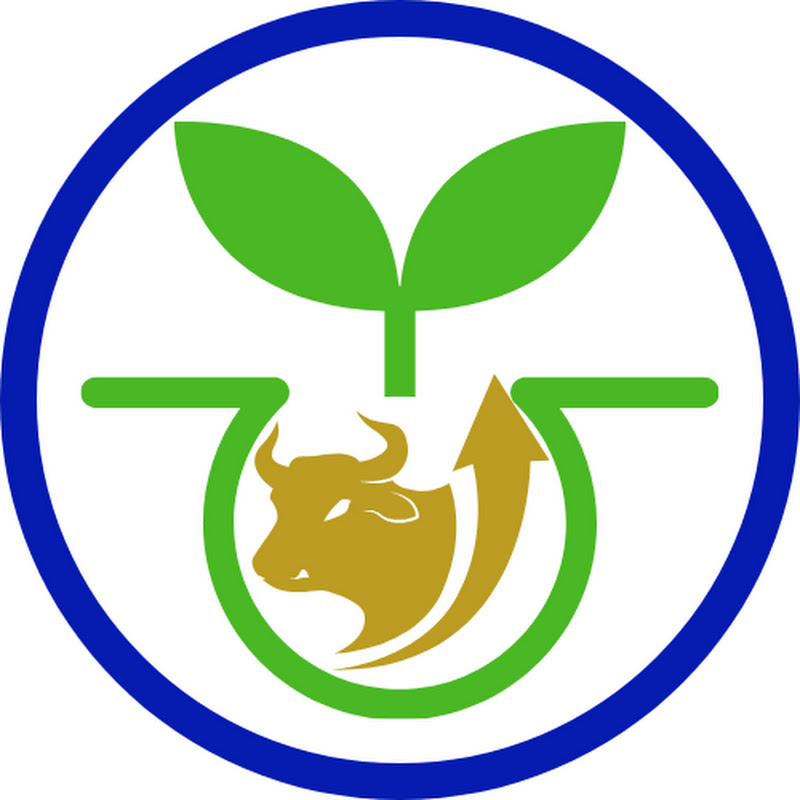 Grow With Dilip