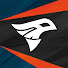L4y32-Qf2As-channel-avatar-Demoted Pigeons Esports