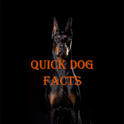 Quick Dog Facts