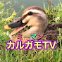 ミーマン【カルガモTV】M-MAN【duck TV】