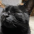 iS7gElRhdag-channel-avatar-田舎のゴミ