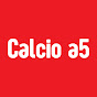 Calcio a5