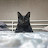 @-meowmeow1