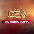 s2NaRahqrlo-channel-avatar-Dil Tanha Tanha