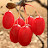 @mk_q6b