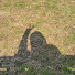 gjRh8iKLe_E-channel-avatar-Haruka