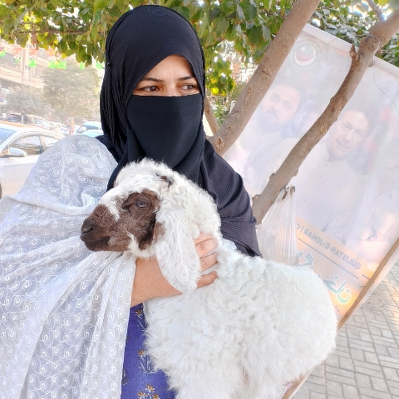 Bint-e-Saeed Kitchen and Life