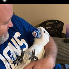 Buster The Cockatoo net worth