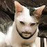 LuBHNxInbnE-channel-avatar-Mack Basics