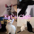 DvH8n-u6Ekk-channel-avatar-Kat's chat