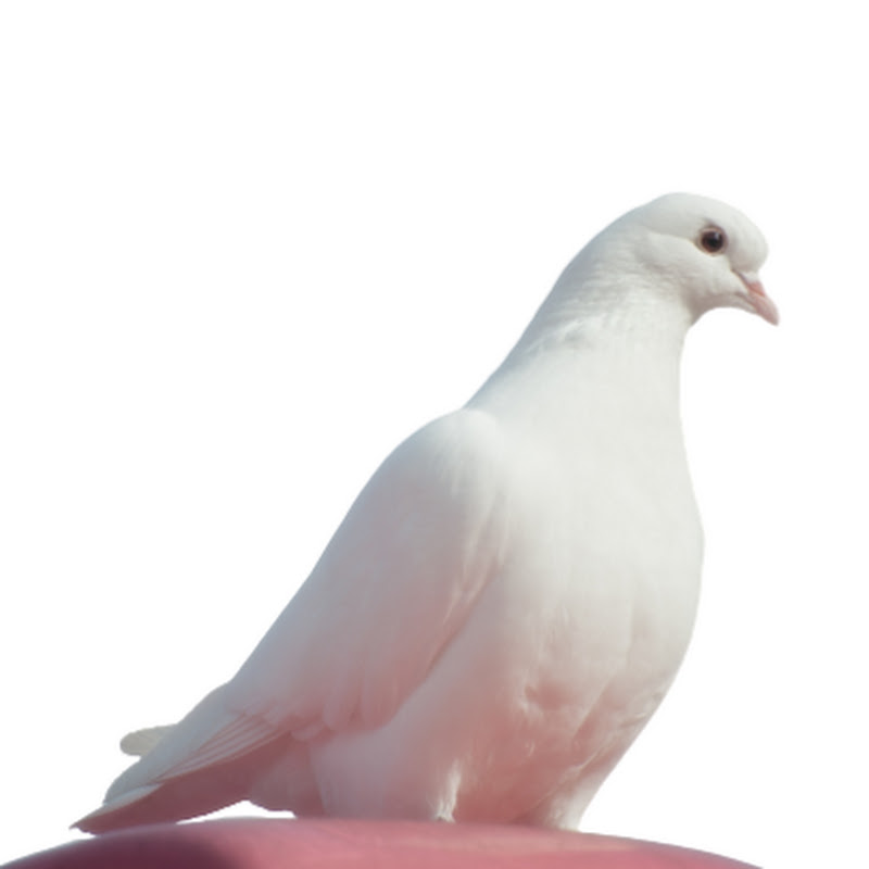 Smooth Entertainment