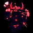 oNbN6N-i1eM-channel-avatar-Injustifixiabilaity 
