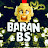 BARAN_BS