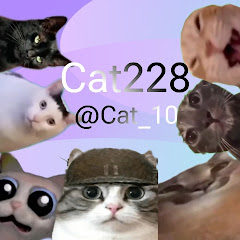 Cat228