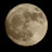 @m7mdoos
