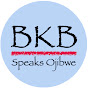 Bruce K. Beardy logo