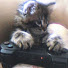 Bh9Rn6_mYIg-channel-avatar-kvrlv