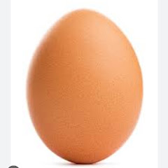 Egg