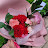 @flower_119o