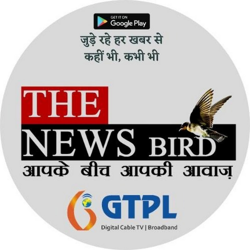 The News Bird