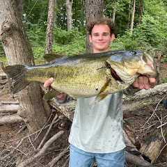 Bassin on the DL