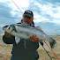 wAiqWFkU87A-channel-avatar-East Angling