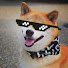 4EKxBjRyLHg-channel-avatar-BattleDoge